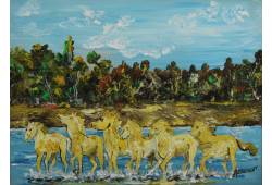 Chevaux en Camargue